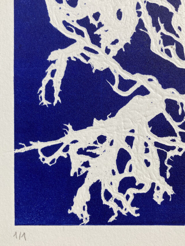 Monotype, empreinte d'une algue, pièce unique