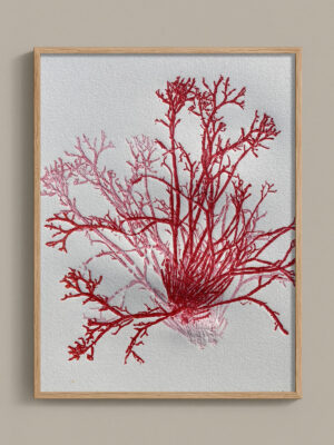 Monotype, empreinte d'une algue, pièce unique