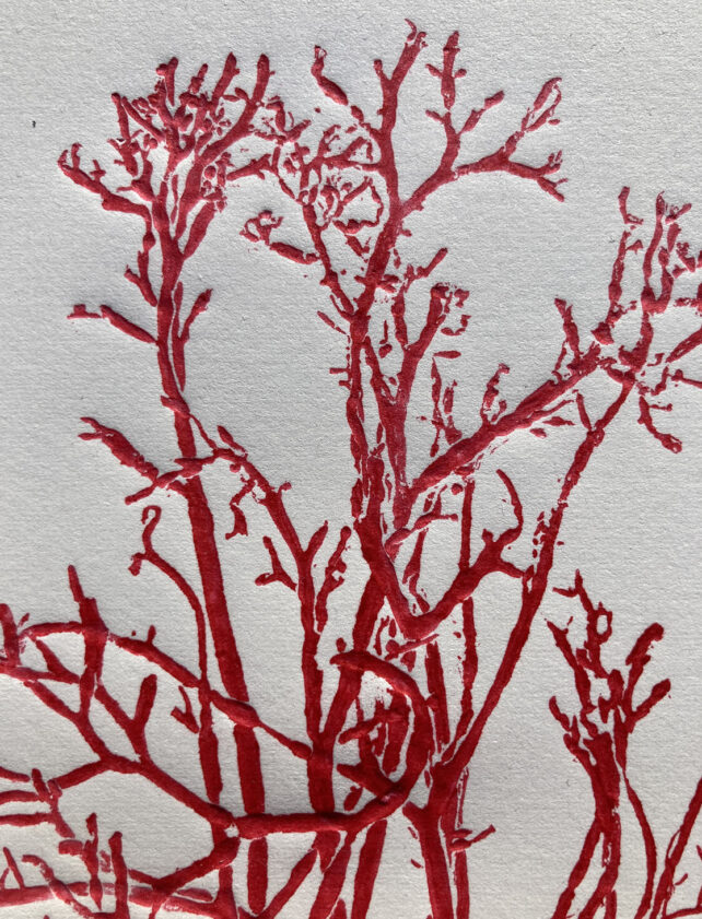 Monotype, empreinte d'une algue, pièce unique