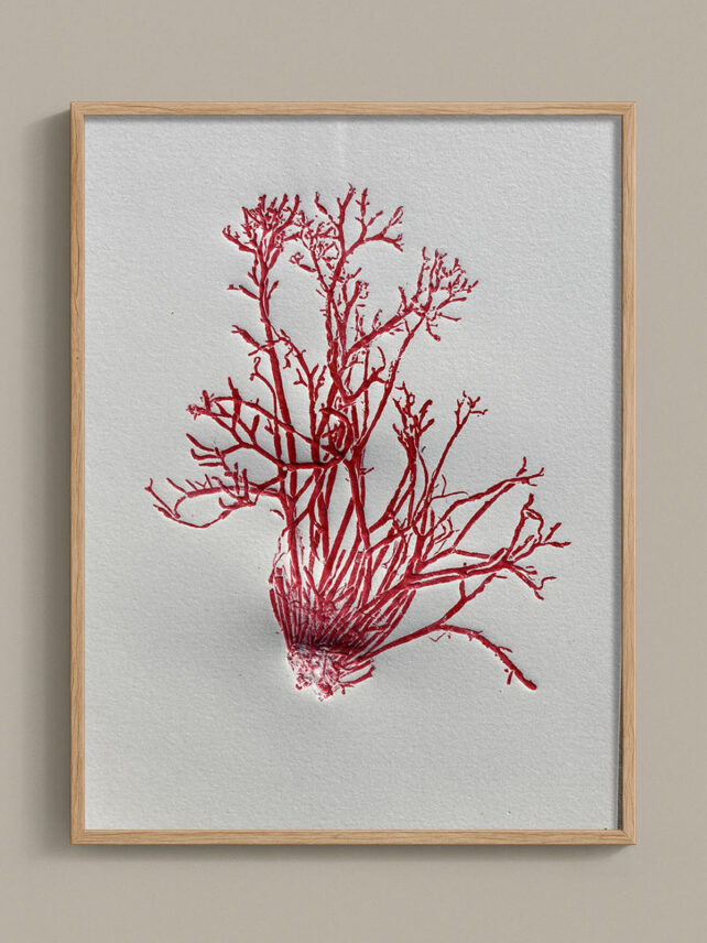 Monotype, empreinte d'une algue, pièce unique