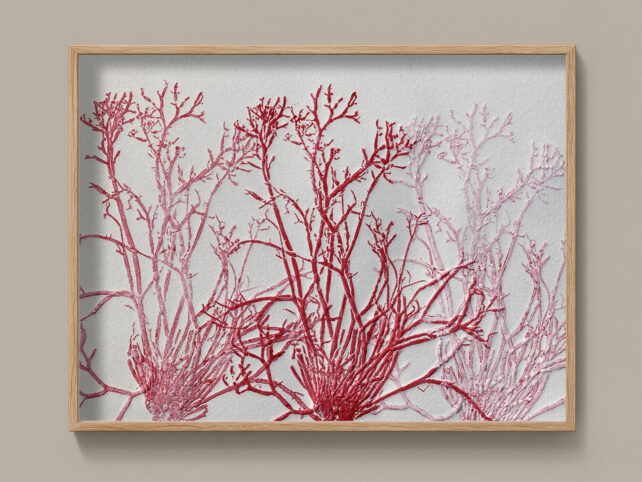 Monotype, empreinte d'une algue, pièce unique