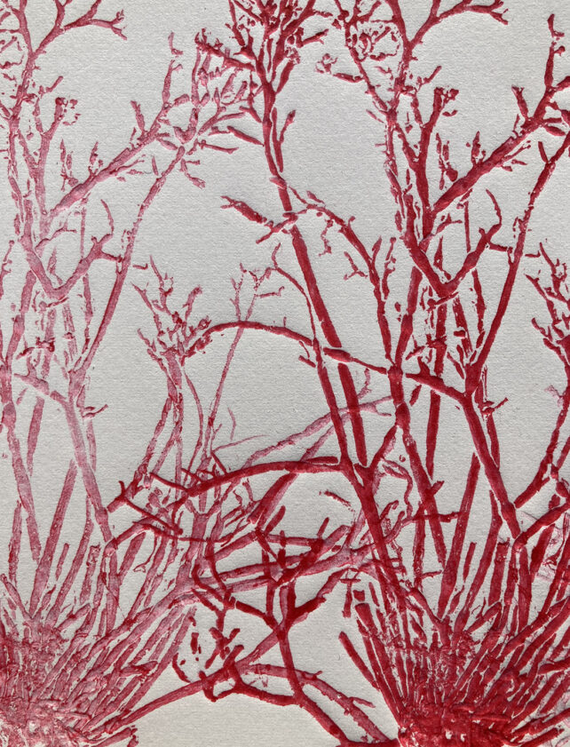 Monotype, empreinte d'une algue, pièce unique