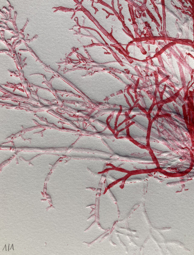 Monotype, empreinte d'une algue, pièce unique
