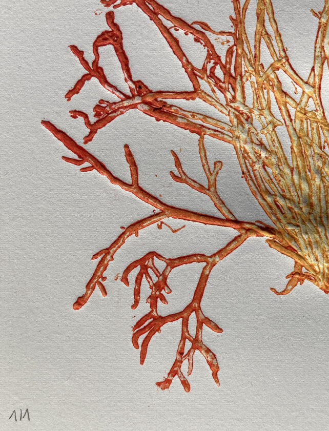 Monotype, empreinte d'une algue, pièce unique