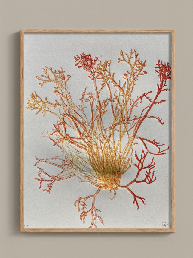Monotype, empreinte d'une algue, pièce unique