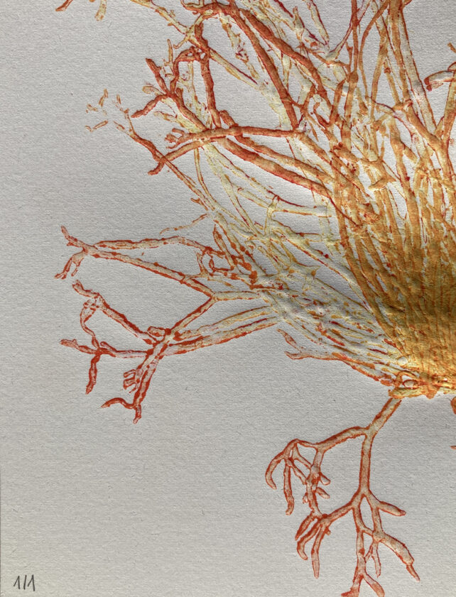Monotype, empreinte d'une algue, pièce unique