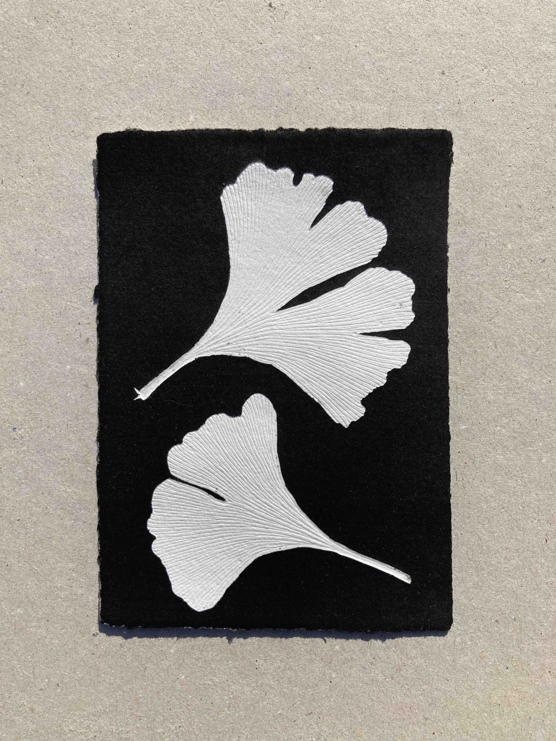 Ginkgo Biloba