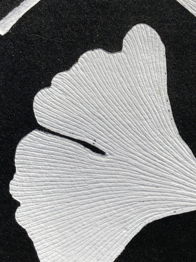 Ginkgo Biloba – Image 2