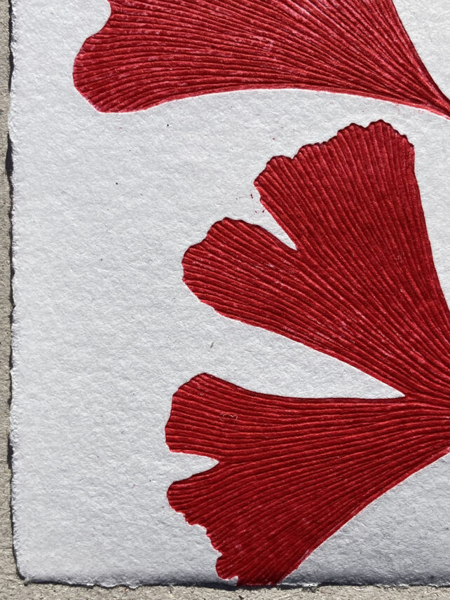 Monotype, empreinte réalisée à partir d'une vraie plante, pièce unique