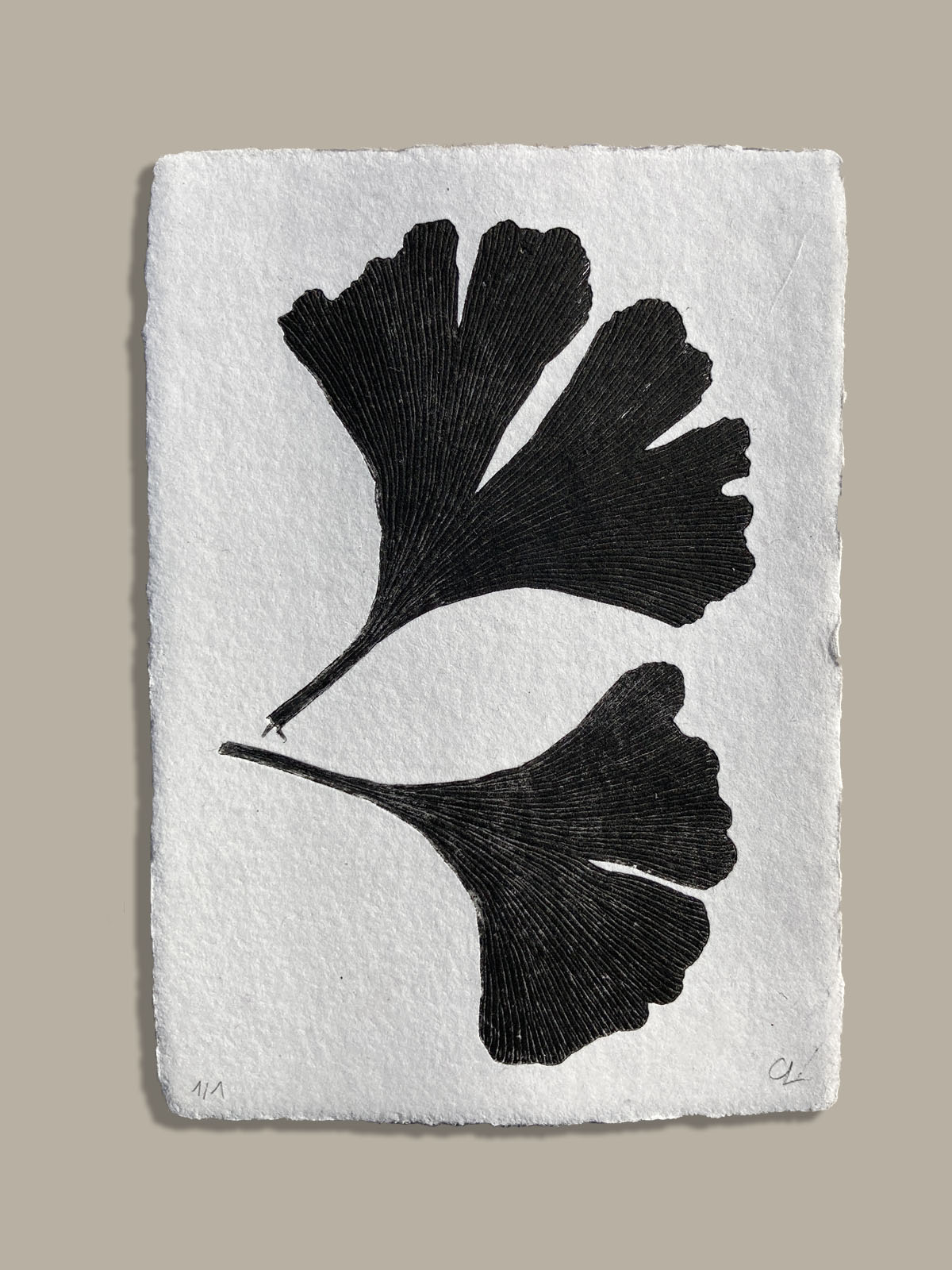 Monotype, empreinte réalisée à partir d'une vraie plante, pièce unique
