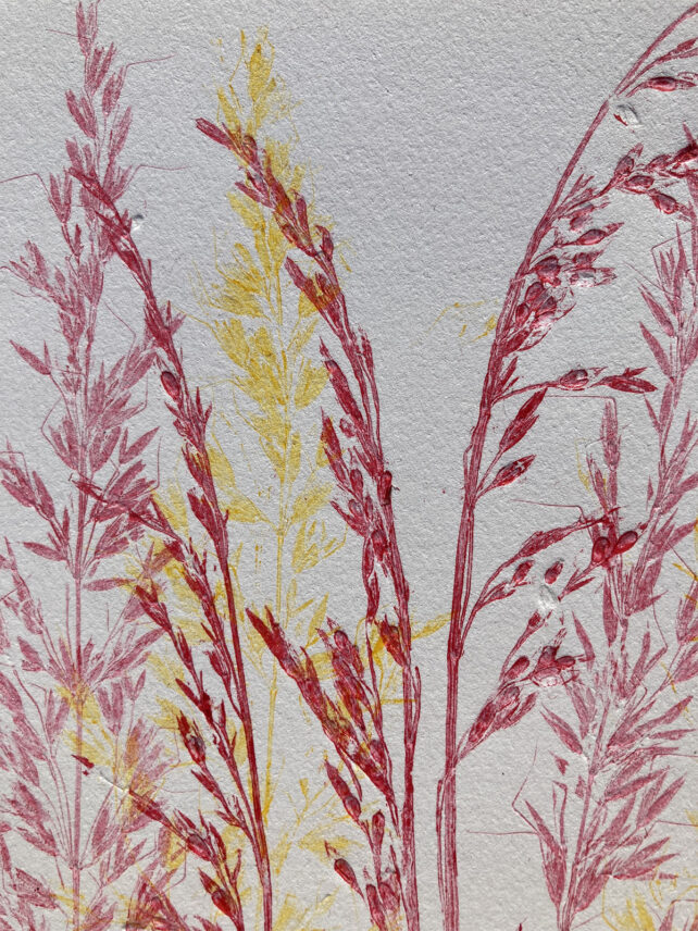 Monotype, empreinte réalisée à partir d'une vraie plante, pièce unique