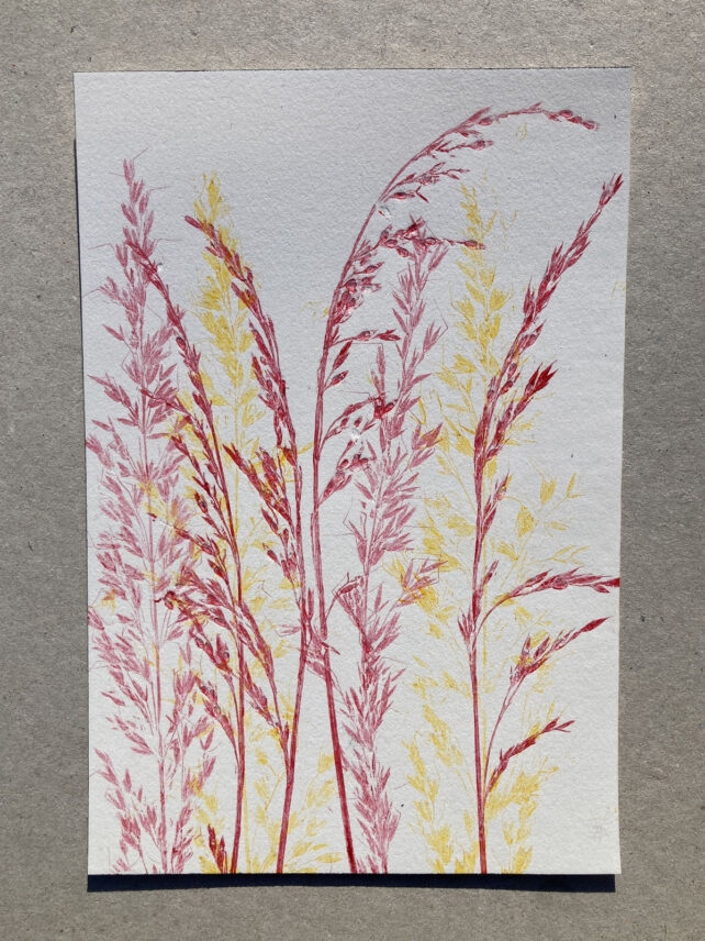 Monotype, empreinte réalisée à partir d'une vraie plante, pièce unique