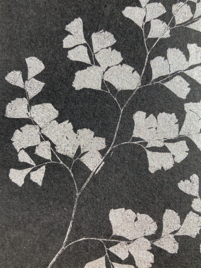 Monotype, empreinte réalisée à partir d'une vraie plante, pièce unique