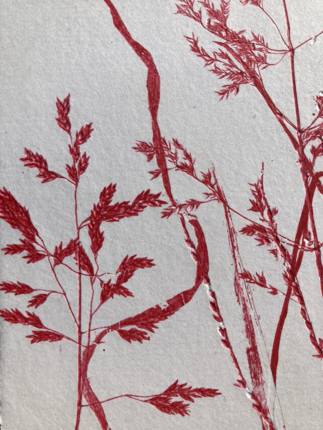 Monotype, empreinte réalisée à partir d'une vraie plante, pièce unique