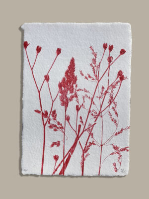 Monotype, empreinte réalisée à partir d'une vraie plante, pièce unique