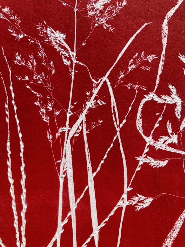 Monotype, empreinte réalisée à partir d'une vraie plante, pièce unique