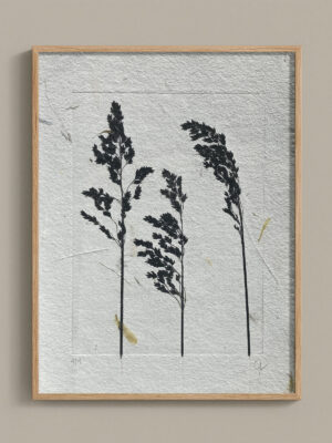 Monotype, empreinte réalisée à partir d'une vraie plante, pièce unique