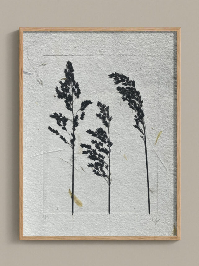Monotype, empreinte réalisée à partir d'une vraie plante, pièce unique