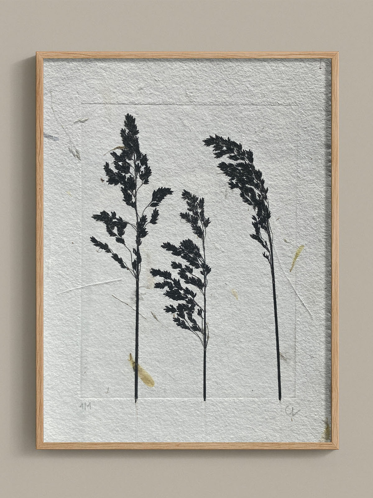 Monotype, empreinte réalisée à partir d'une vraie plante, pièce unique