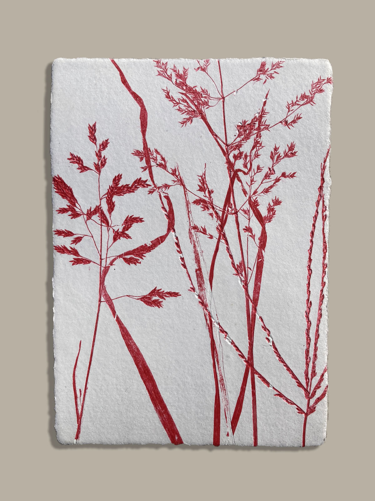 Monotype, empreinte réalisée à partir d'une vraie plante, pièce unique