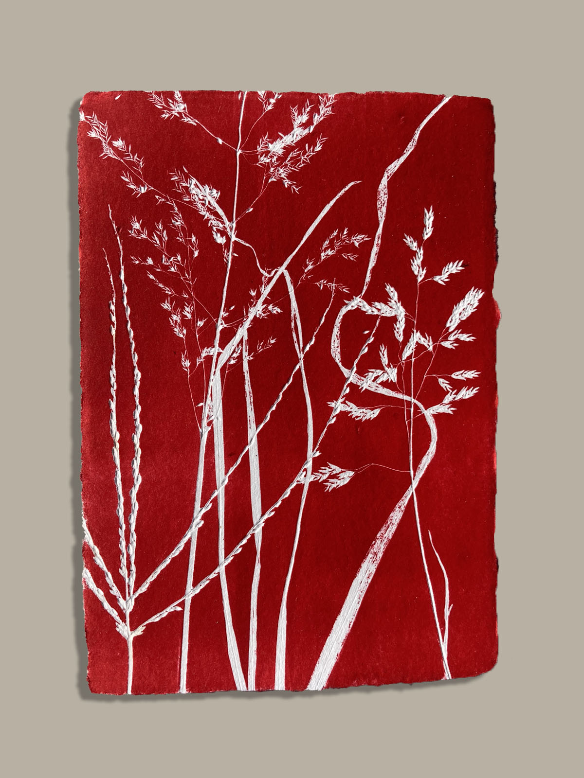 Monotype, empreinte réalisée à partir d'une vraie plante, pièce unique