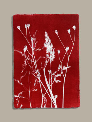 Monotype, empreinte réalisée à partir d'une vraie plante, pièce unique