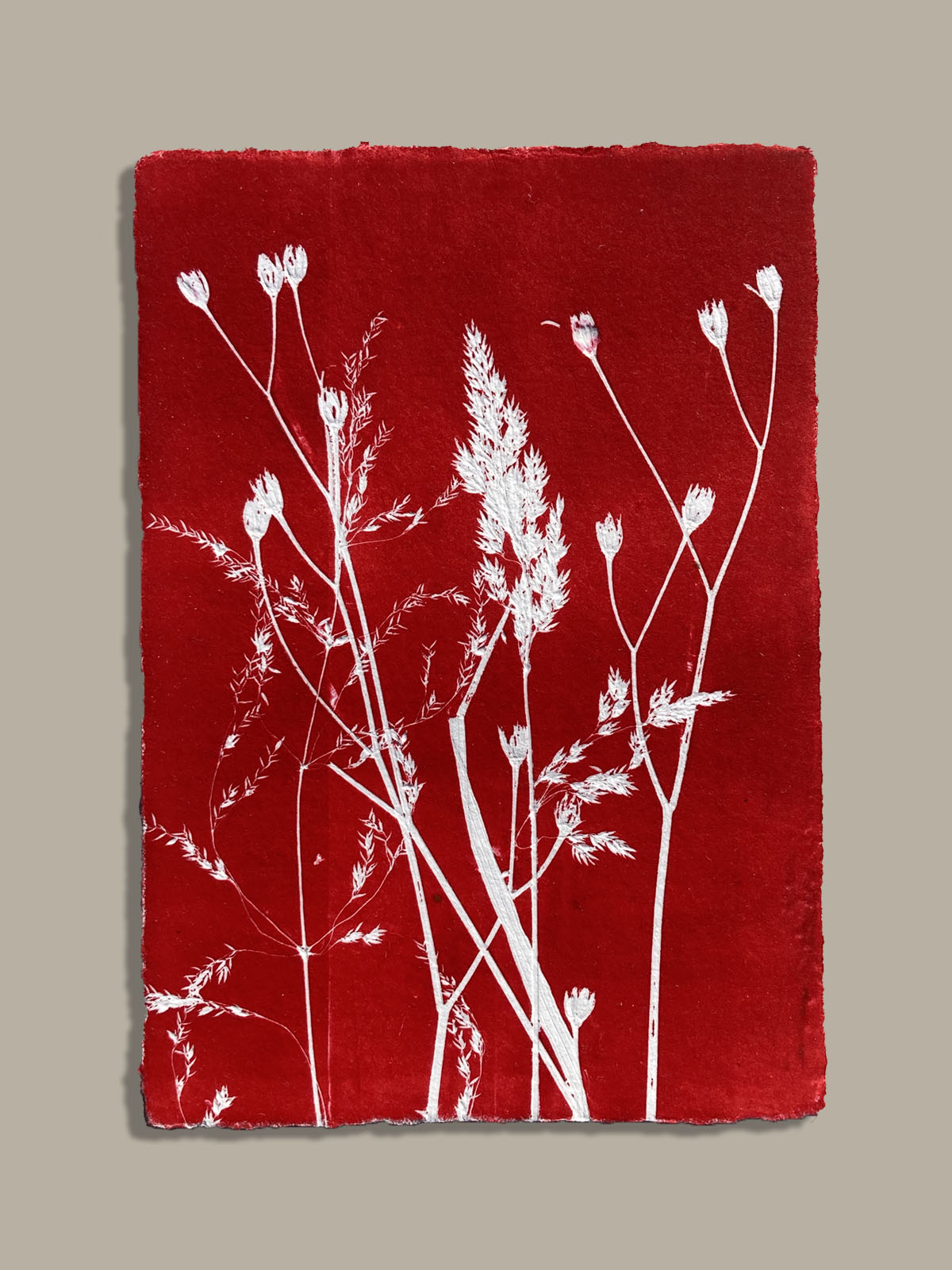 Monotype, empreinte réalisée à partir d'une vraie plante, pièce unique