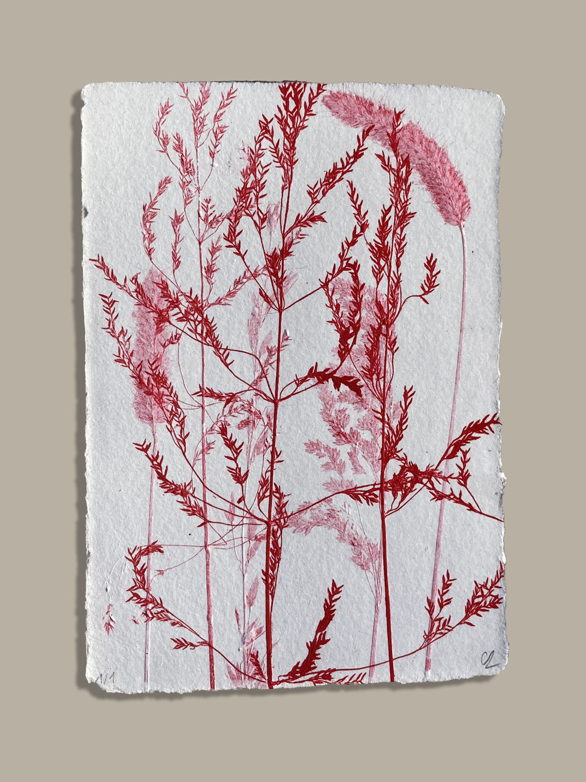 Monotype, empreinte réalisée à partir d'une vraie plante, pièce unique