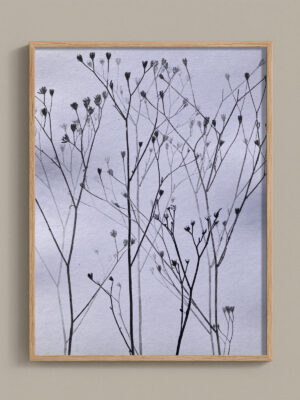 Monotype, empreinte réalisée à partir d'une vraie plante, pièce unique