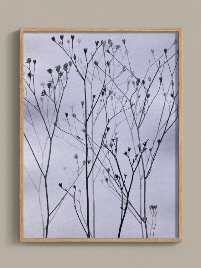 Monotype, empreinte réalisée à partir d'une vraie plante, pièce unique