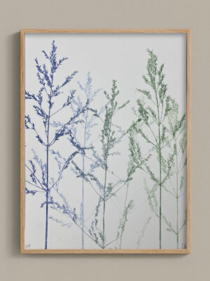 Monotype, empreinte réalisée à partir d'une vraie plante, pièce unique