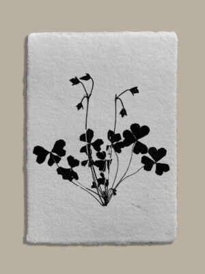 Monotype, empreinte réalisée à partir d'une vraie plante, pièce unique