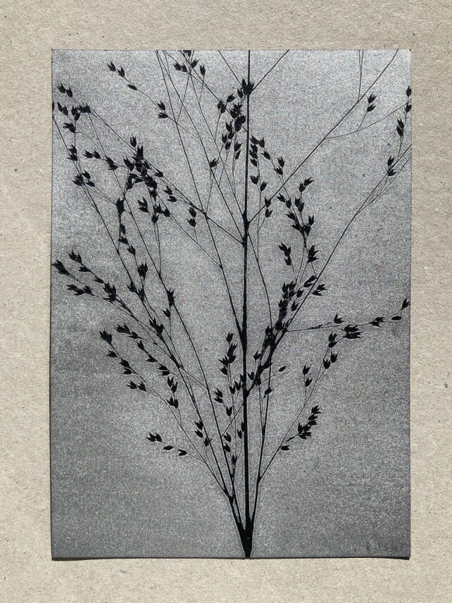 Monotype, empreinte réalisée à partir d'une vraie plante, pièce unique