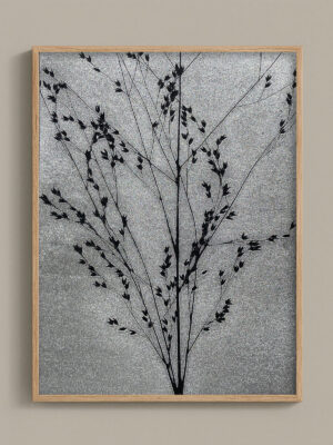 Monotype, empreinte réalisée à partir d'une vraie plante, pièce unique