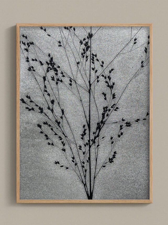 Monotype, empreinte réalisée à partir d'une vraie plante, pièce unique