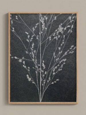 Monotype, empreinte réalisée à partir d'une vraie plante, pièce unique