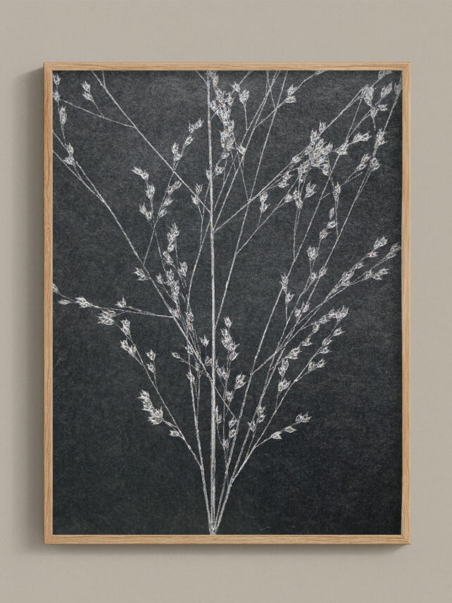 Monotype, empreinte réalisée à partir d'une vraie plante, pièce unique