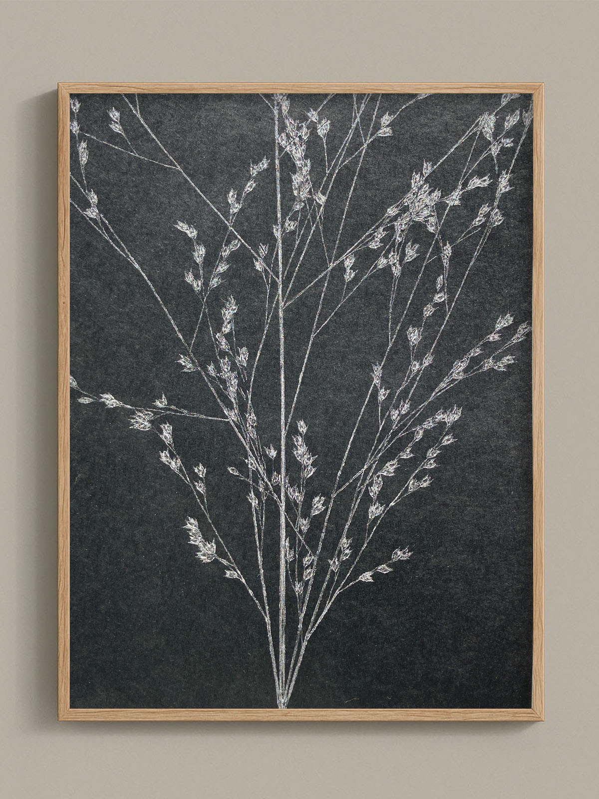 Monotype, empreinte réalisée à partir d'une vraie plante, pièce unique