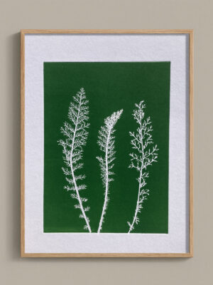 Monotype, empreinte réalisée à partir d'une vraie plante, pièce unique