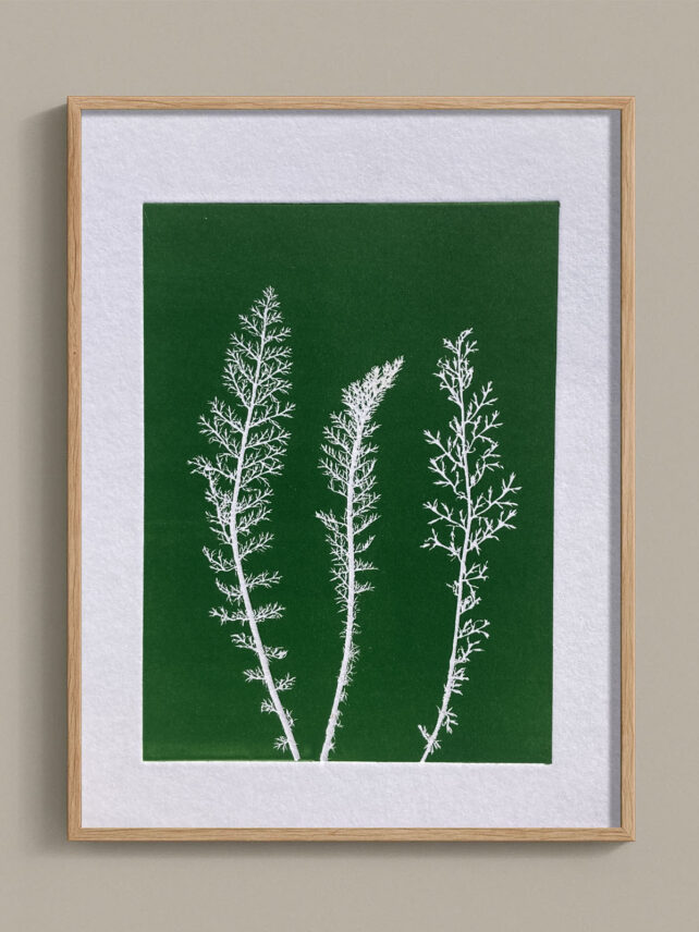 Monotype, empreinte réalisée à partir d'une vraie plante, pièce unique