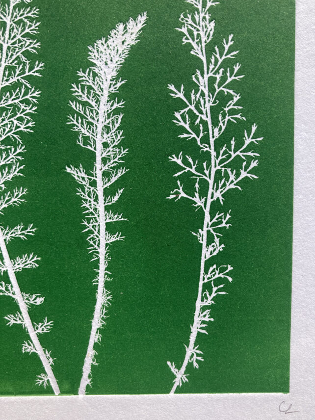 Monotype, empreinte réalisée à partir d'une vraie plante, pièce unique