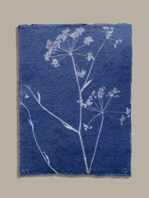 Monotype, empreinte réalisée à partir d'une vraie plante, pièce unique
