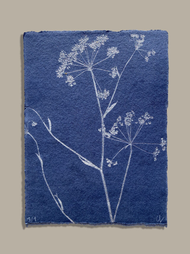 Monotype, empreinte réalisée à partir d'une vraie plante, pièce unique
