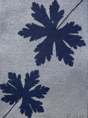 Monotype, empreinte réalisée à partir d'une vraie plante, pièce unique