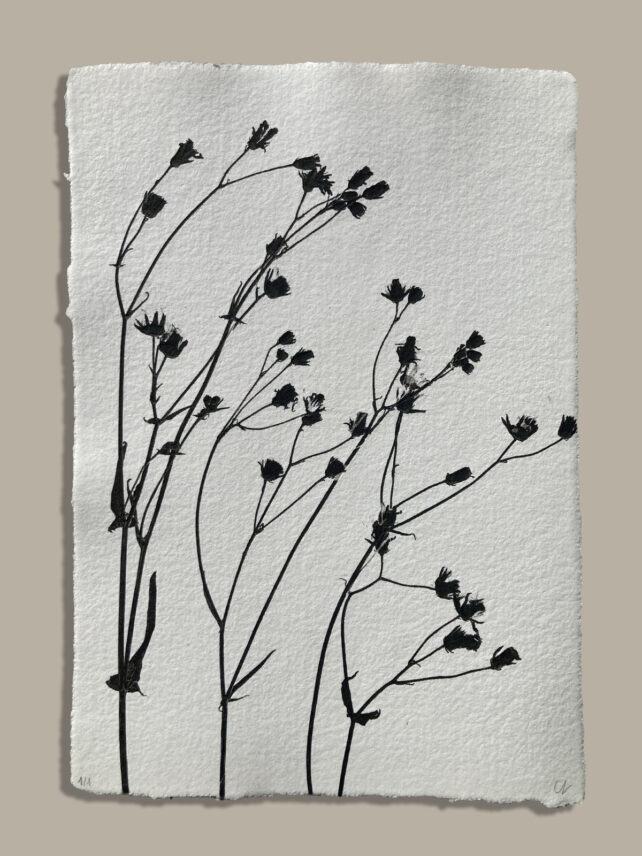 Monotype, empreinte réalisée à partir d'une vraie plante, pièce unique