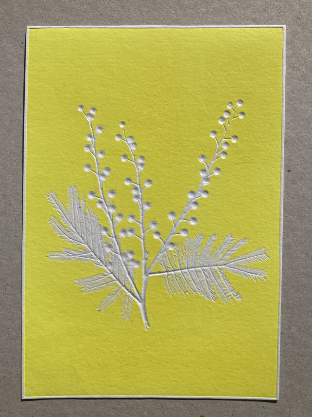 Monotype, empreinte réalisée à partir d'une vraie plante, pièce unique
