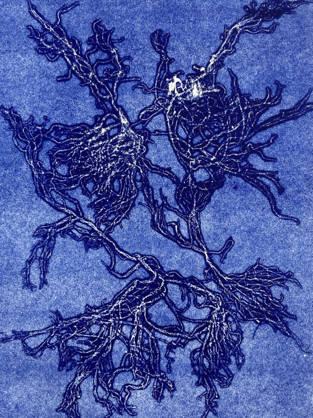 Monotype, empreinte d'une algue, pièce unique