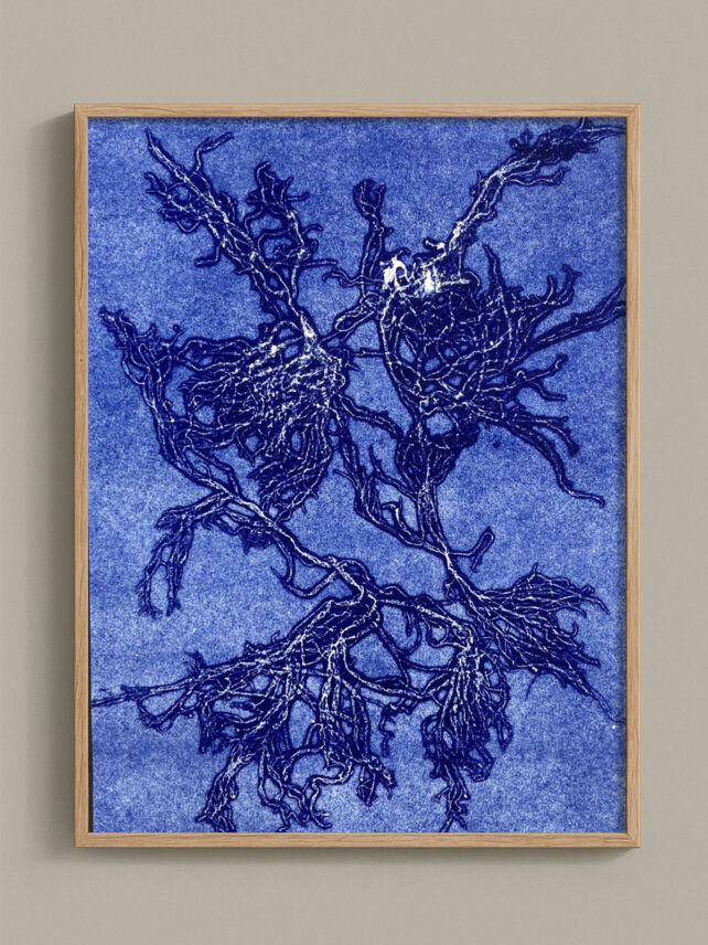Monotype, empreinte d'une algue, pièce unique