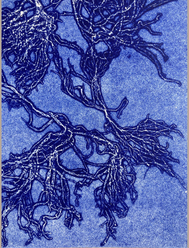 Monotype, empreinte d'une algue, pièce unique