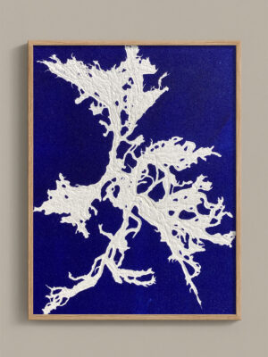 Monotype, empreinte d'une algue, pièce unique